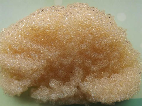 離子交換樹脂